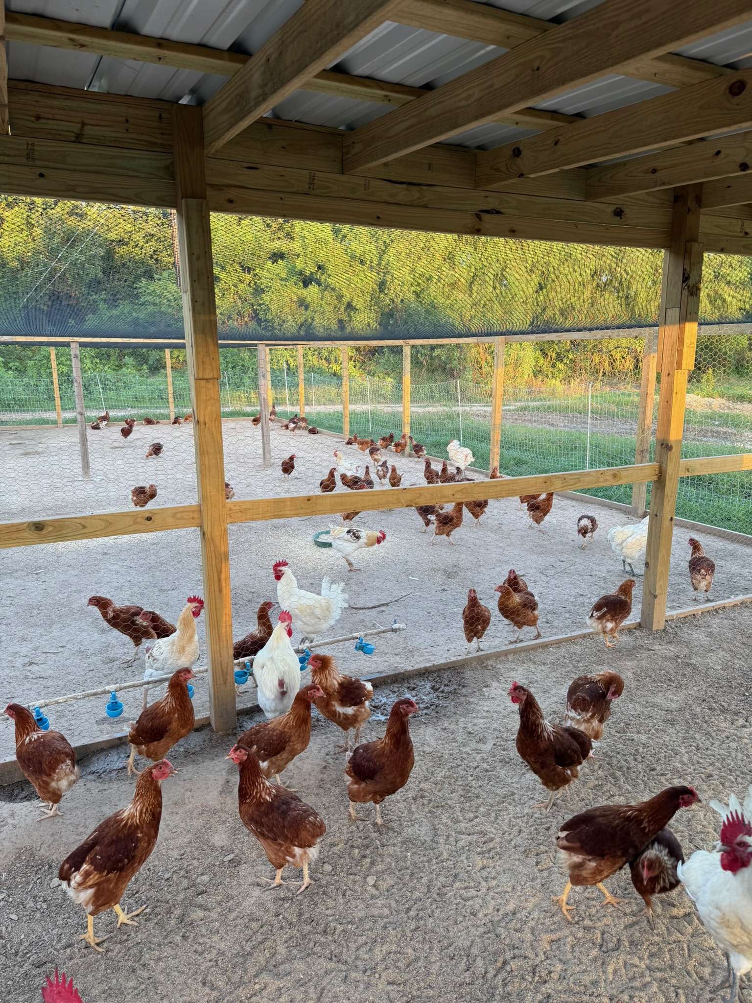 MTK Farm — family farm in Cypress TX